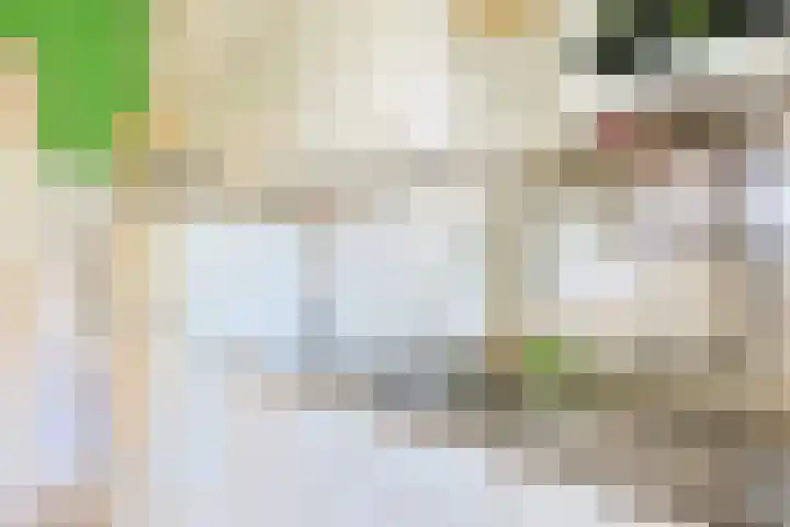 Sweder van Zuylenweg 64 Utrecht thumbnail 4