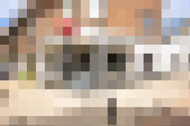 Sweder van Zuylenweg 64 Utrecht thumbnail 50