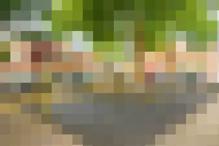 Sweder van Zuylenweg 64 Utrecht thumbnail 51