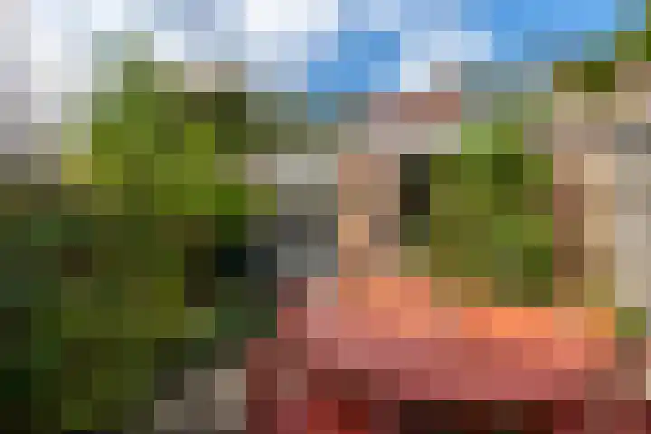 Sweder van Zuylenweg 72 Utrecht thumbnail 17