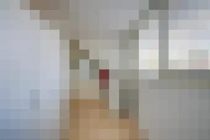 Sweder van Zuylenweg 72 Utrecht thumbnail 37
