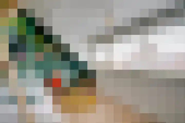 Sweder van Zuylenweg 72 Utrecht thumbnail 38