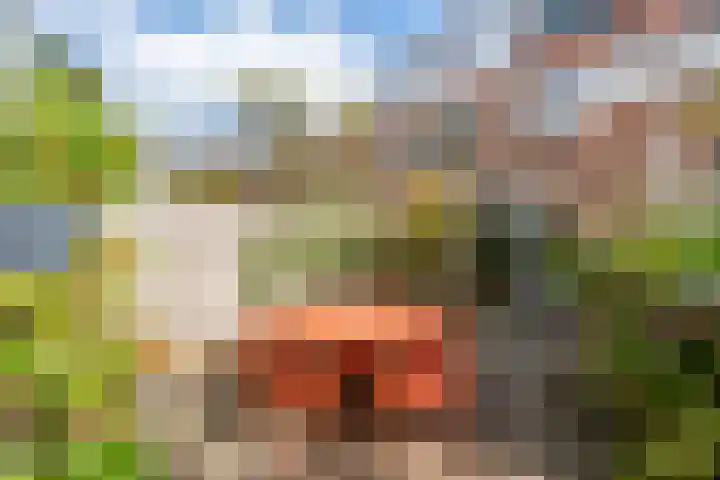 Sweder van Zuylenweg 72 Utrecht thumbnail 4