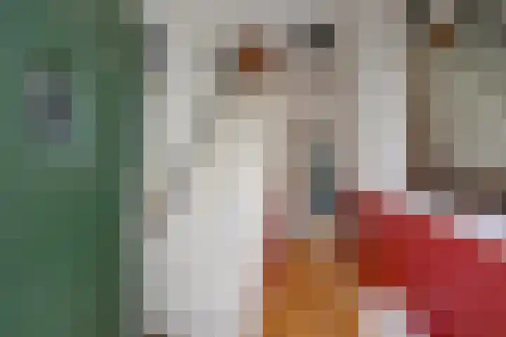 Sweder van Zuylenweg 72 Utrecht thumbnail 6