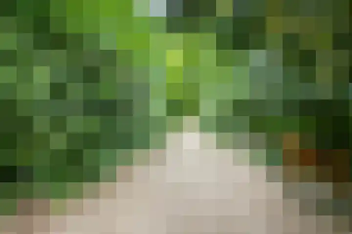Sweder van Zuylenweg 81 Utrecht thumbnail 26