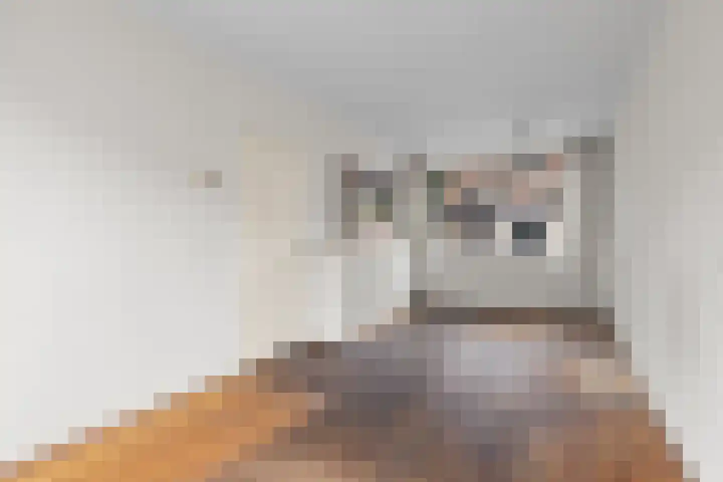 Sweder van Zuylenweg 84 Utrecht thumbnail 9