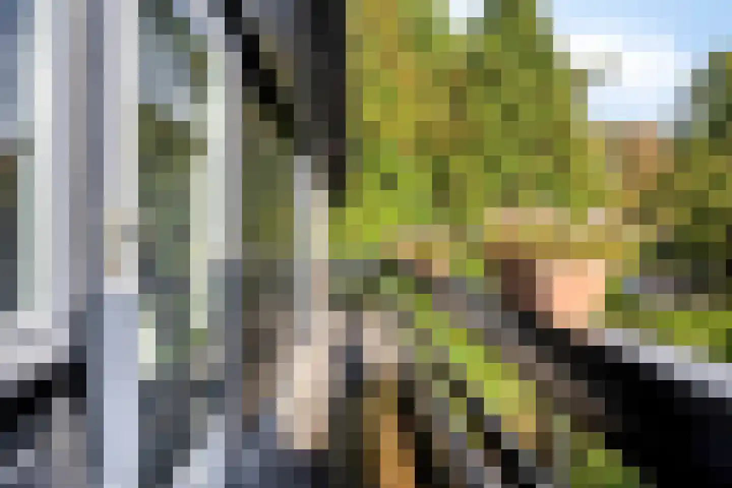 Swedera van Runenweg 13 Diepenveen thumbnail 17