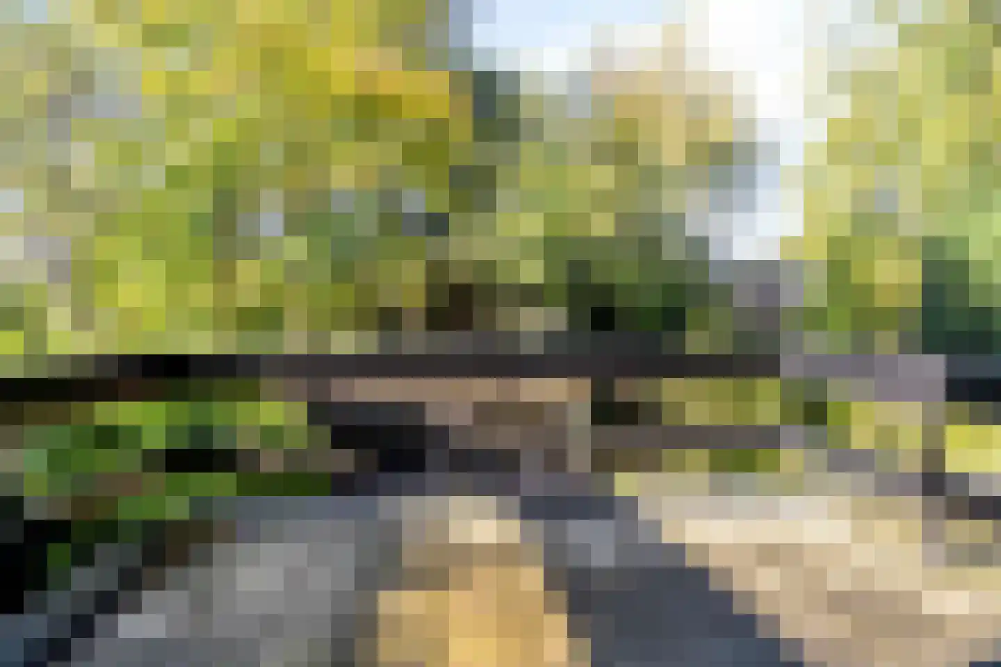 Swedera van Runenweg 13 Diepenveen thumbnail 23