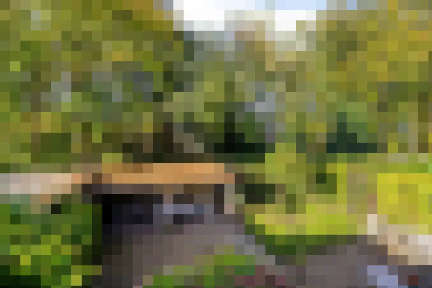 Swedera van Runenweg 13 Diepenveen thumbnail 30
