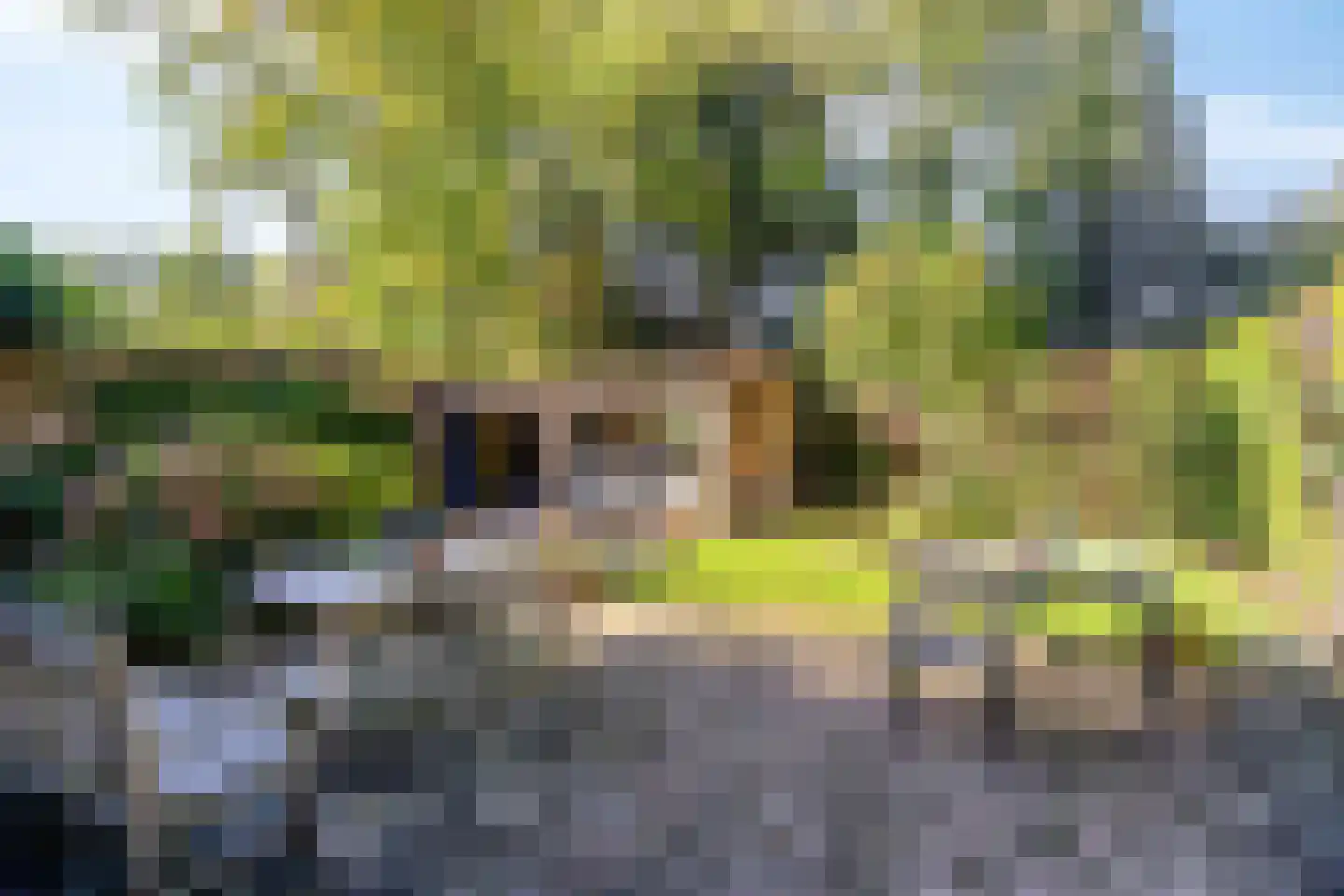 Swedera van Runenweg 13 Diepenveen thumbnail 31