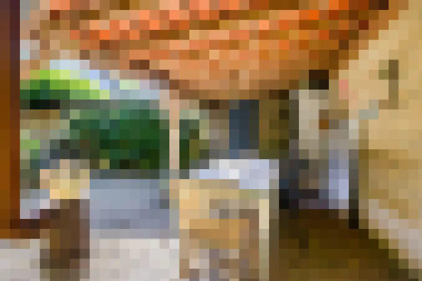 Swedera van Runenweg 13 Diepenveen thumbnail 32