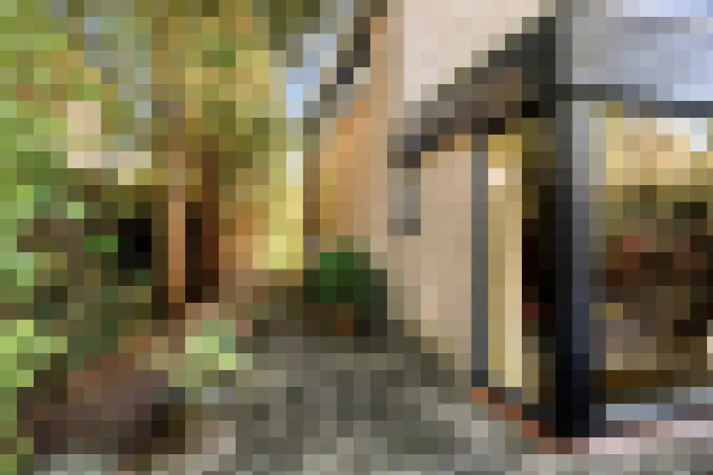 Swedera van Runenweg 13 Diepenveen thumbnail 33