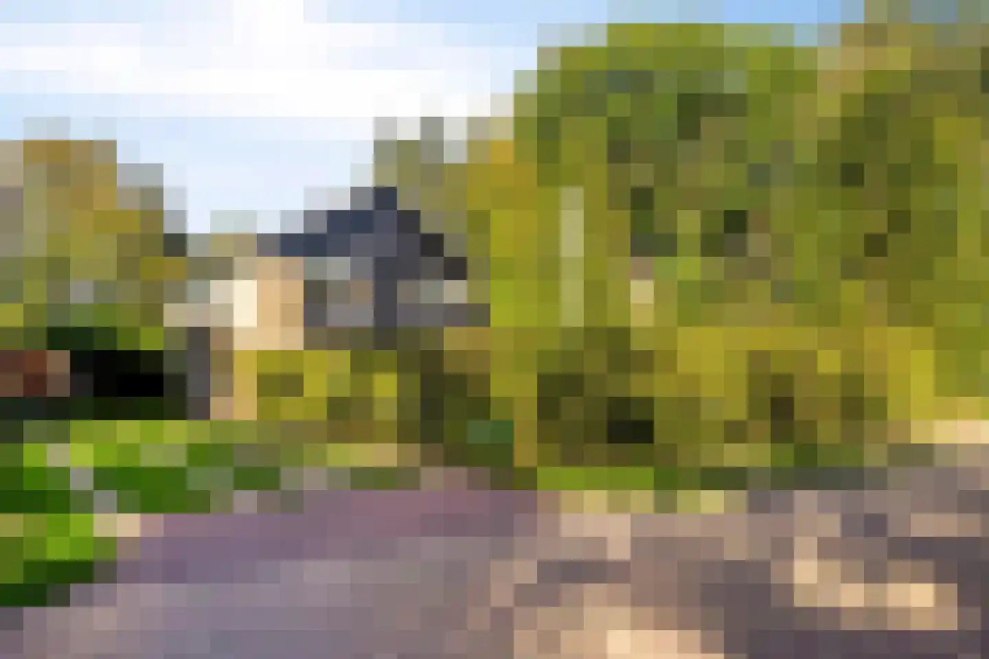 Swedera van Runenweg 13 Diepenveen thumbnail 35