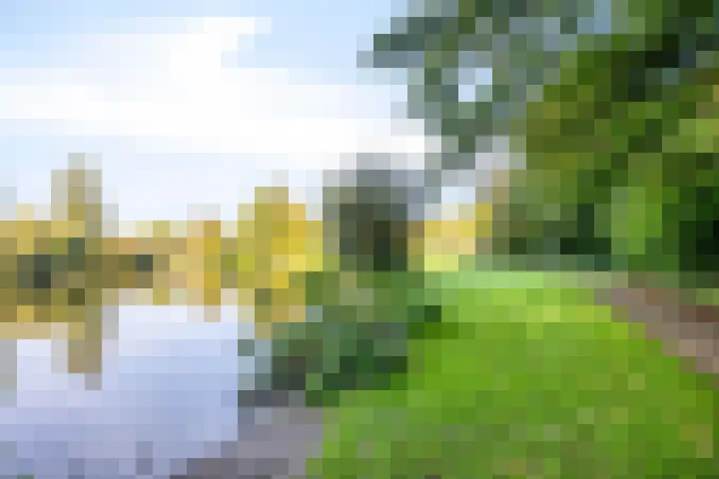 Swedera van Runenweg 13 Diepenveen thumbnail 38