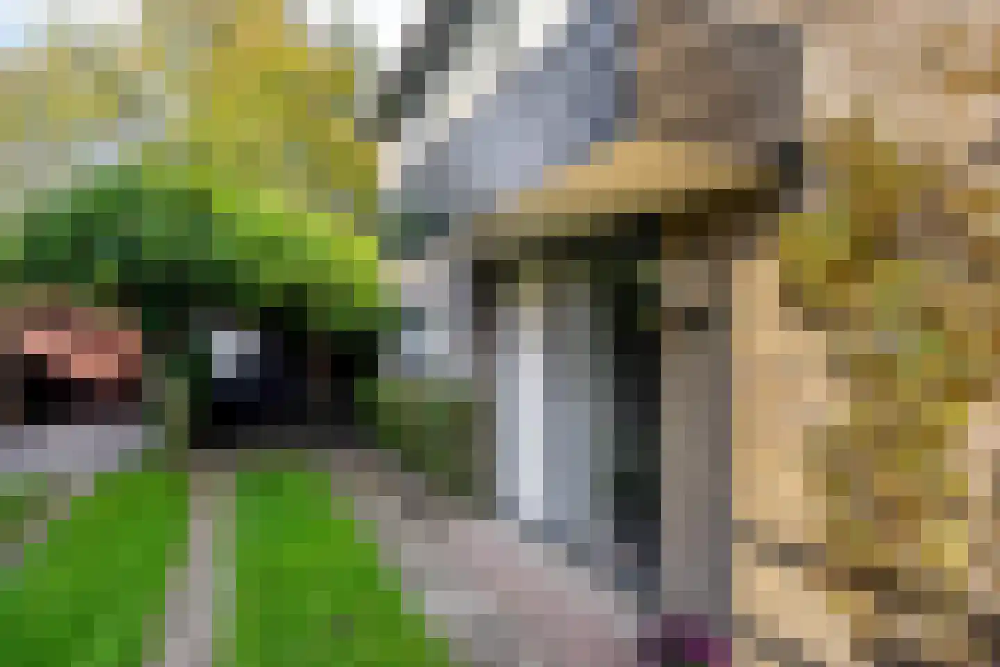 Swedera van Runenweg 13 Diepenveen thumbnail 4