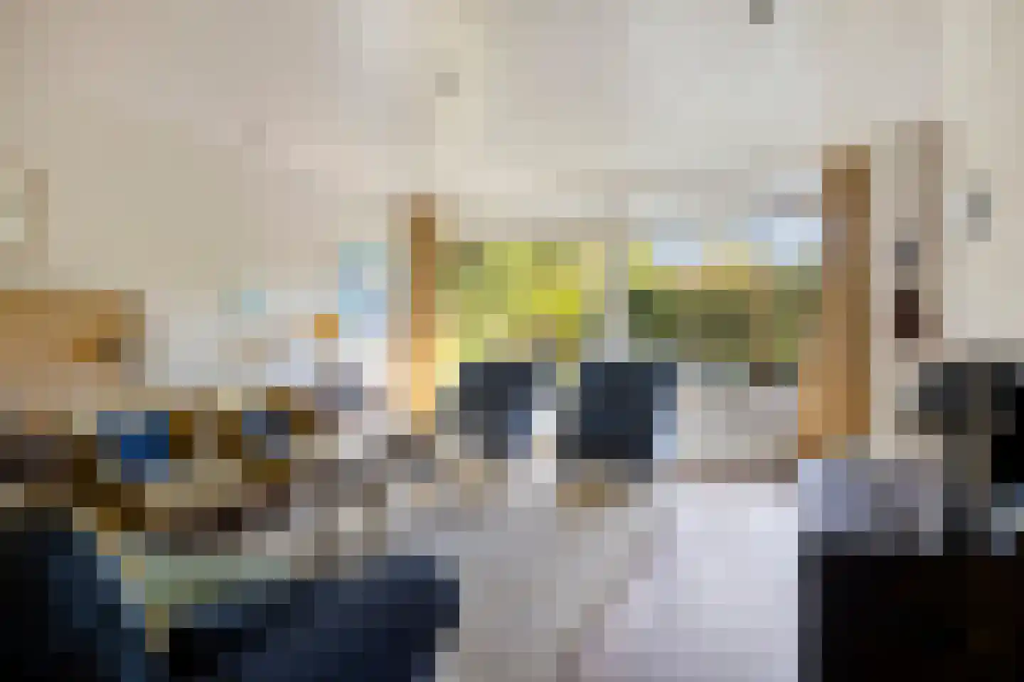 Swedera van Runenweg 13 Diepenveen thumbnail 5