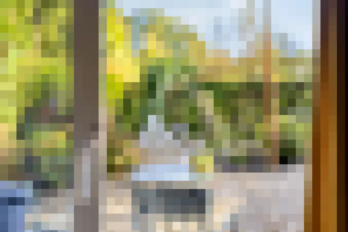 Swedera van Runenweg 13 Diepenveen thumbnail 7