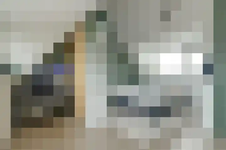 Sweelinck 11 Monster thumbnail 17