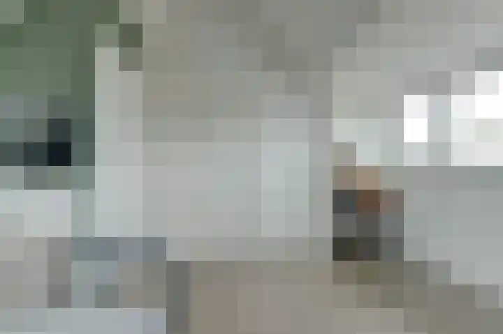 Sweelinck 11 Monster thumbnail 18