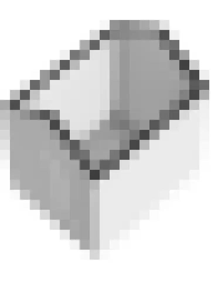 Sweelinck 11 Monster thumbnail 38