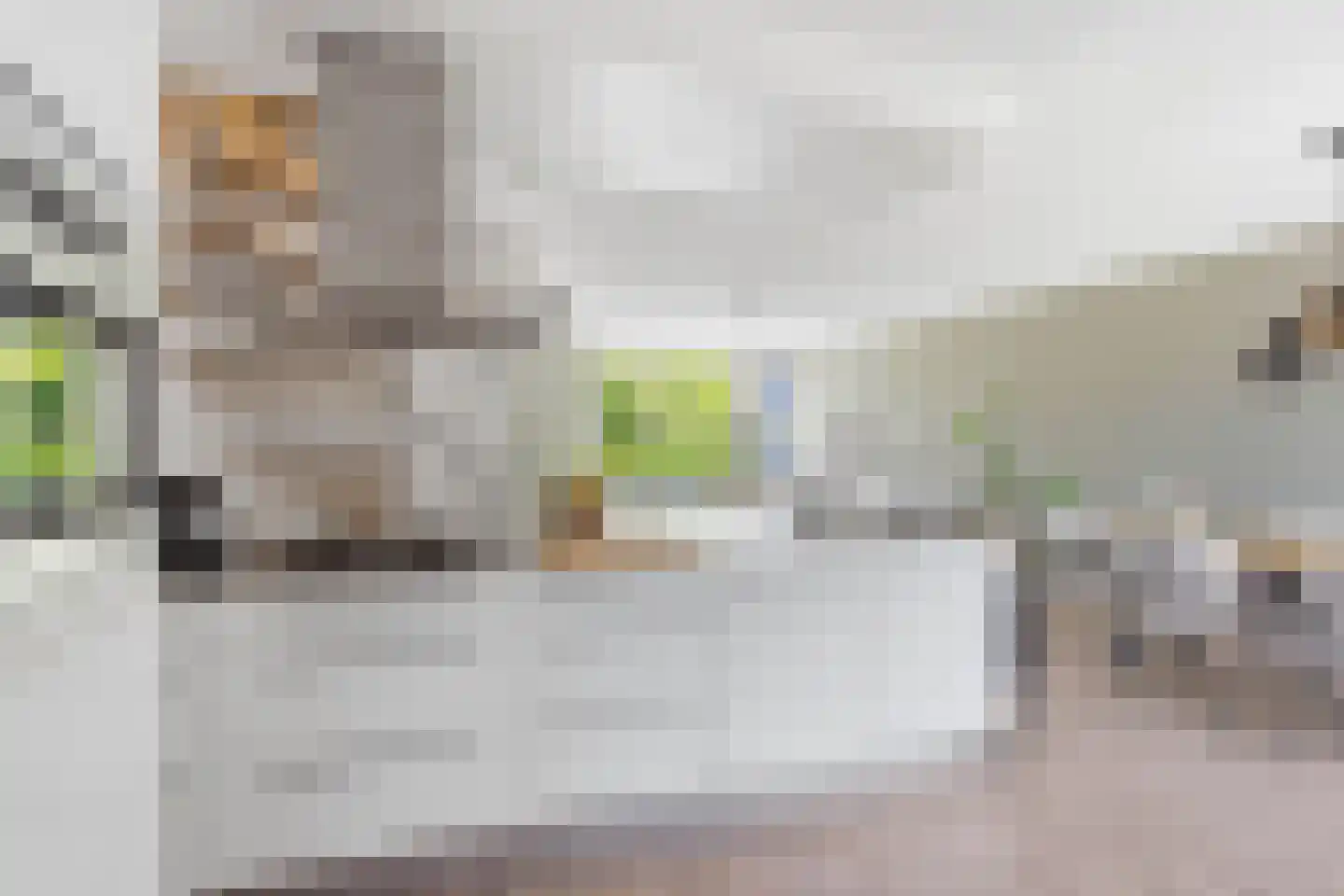 Sweelinck 114 Boxmeer thumbnail 13