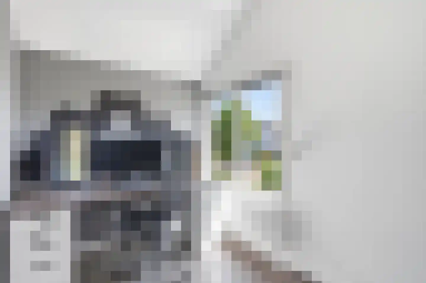 Sweelinck 114 Boxmeer thumbnail 25