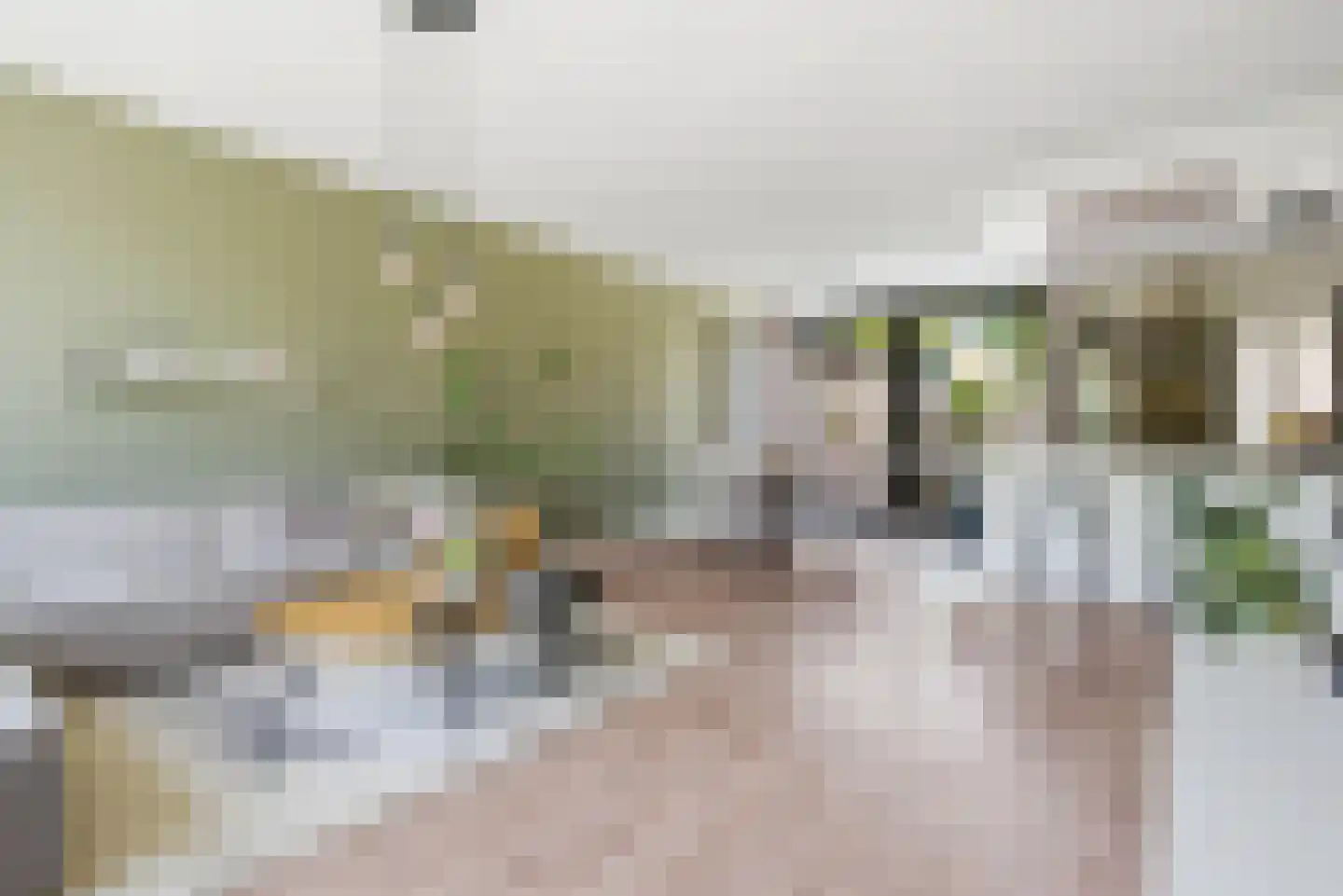 Sweelinck 114 Boxmeer thumbnail 6