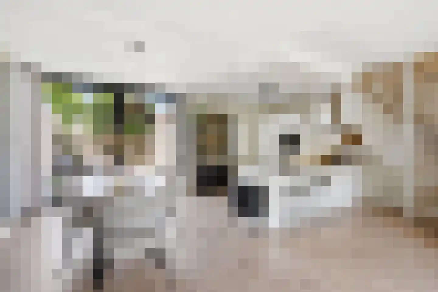 Sweelinck 114 Boxmeer thumbnail 7