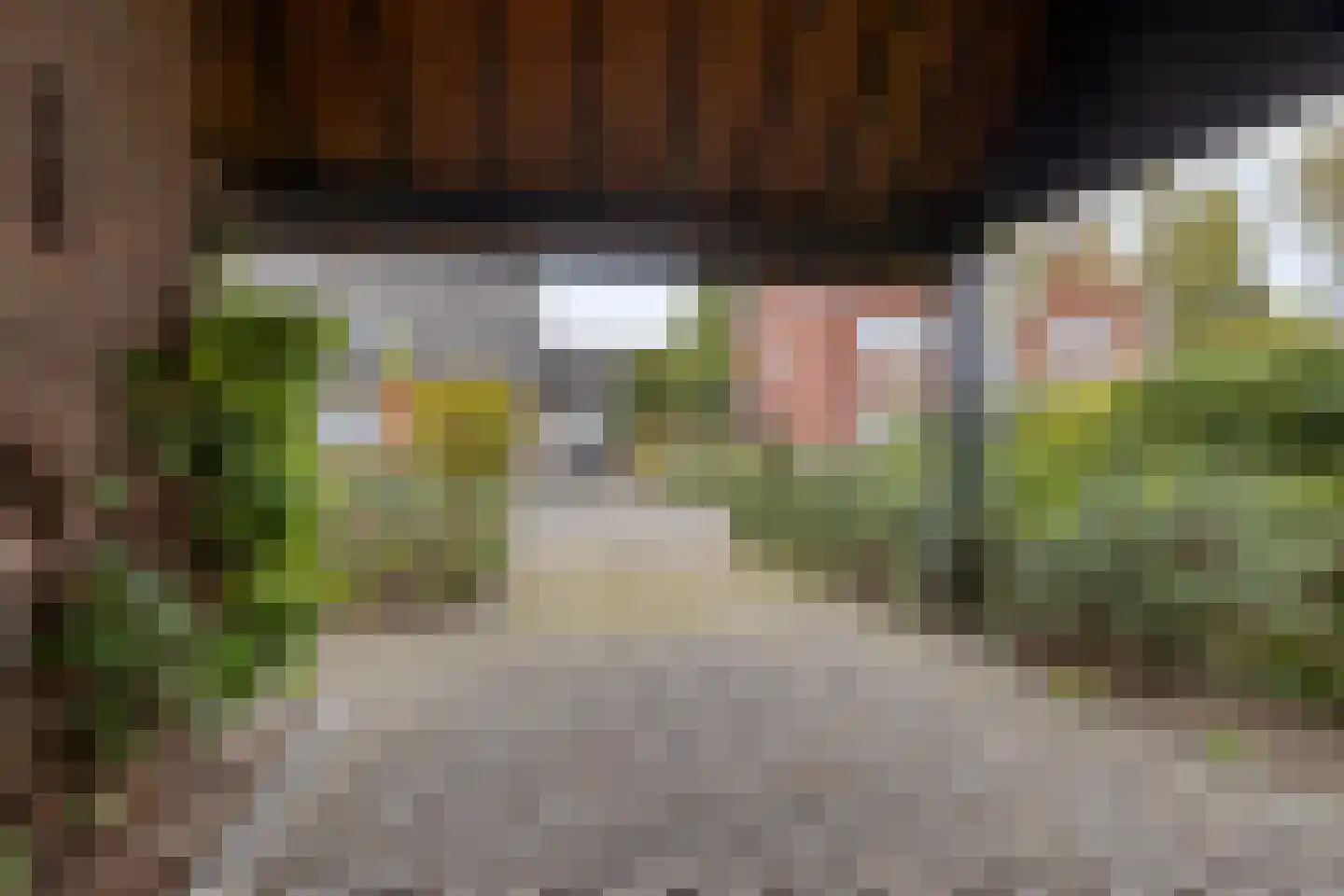 Sweelinck 16 Boxmeer thumbnail 11