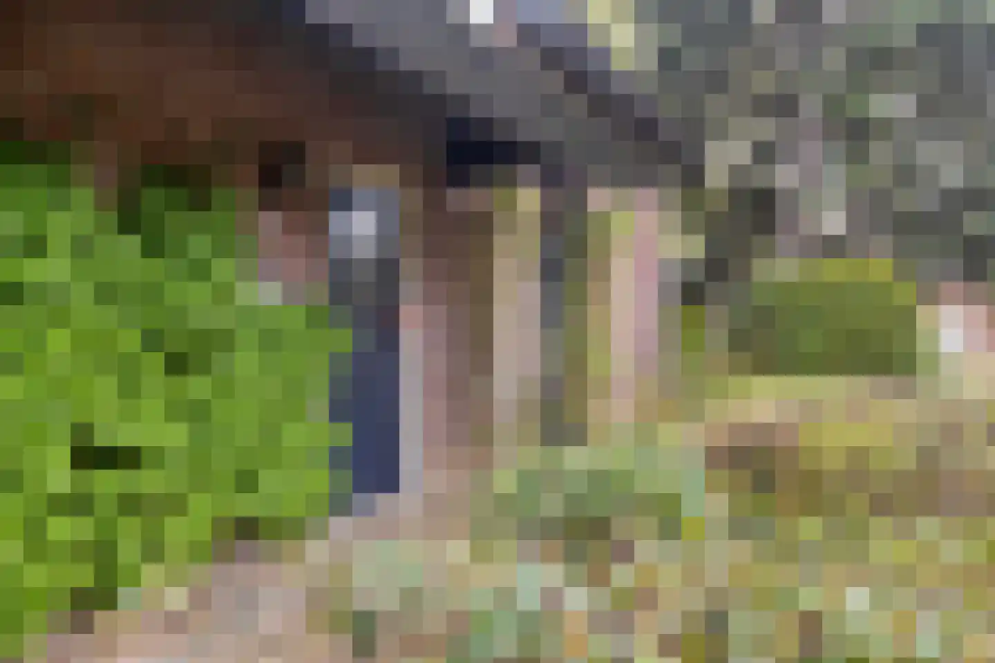 Sweelinck 16 Boxmeer thumbnail 12