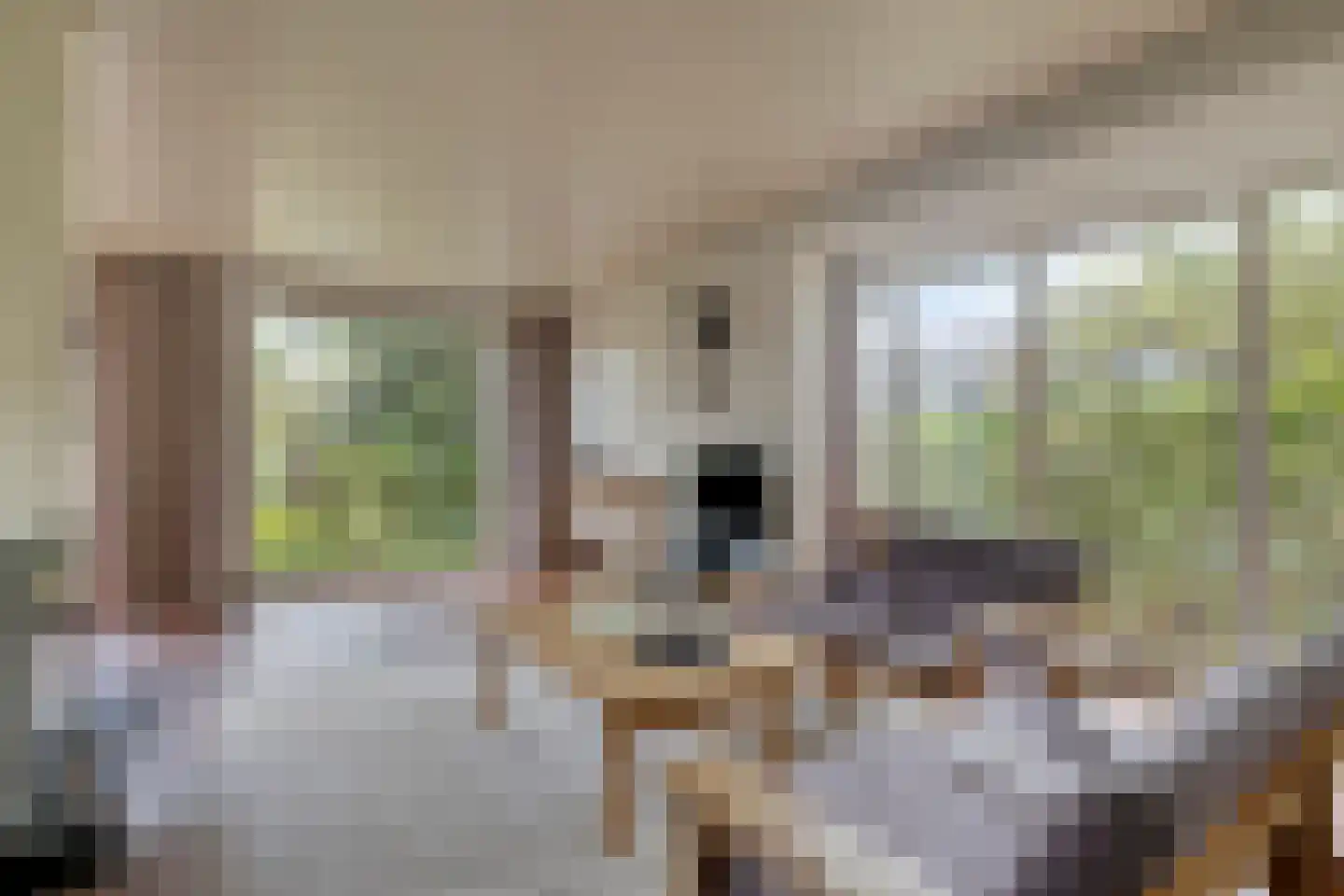 Sweelinck 16 Boxmeer thumbnail 18