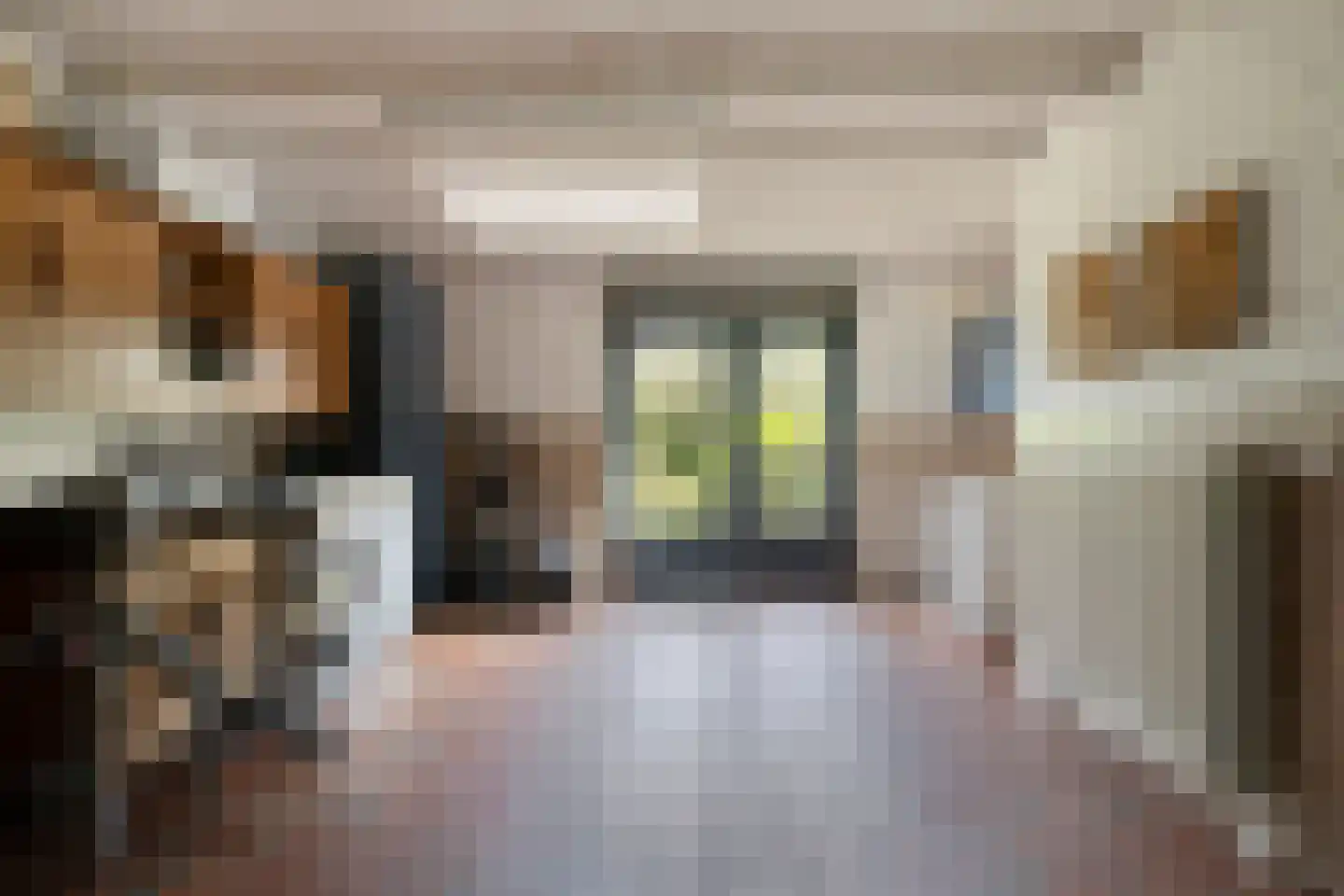 Sweelinck 16 Boxmeer thumbnail 27