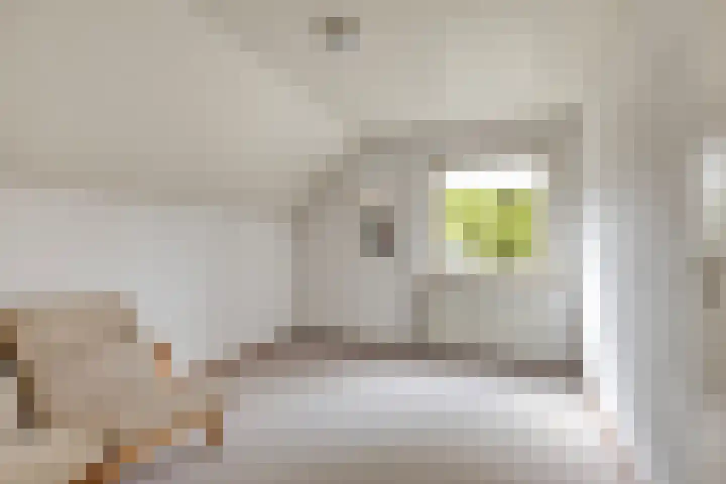 Sweelinck 16 Boxmeer thumbnail 33