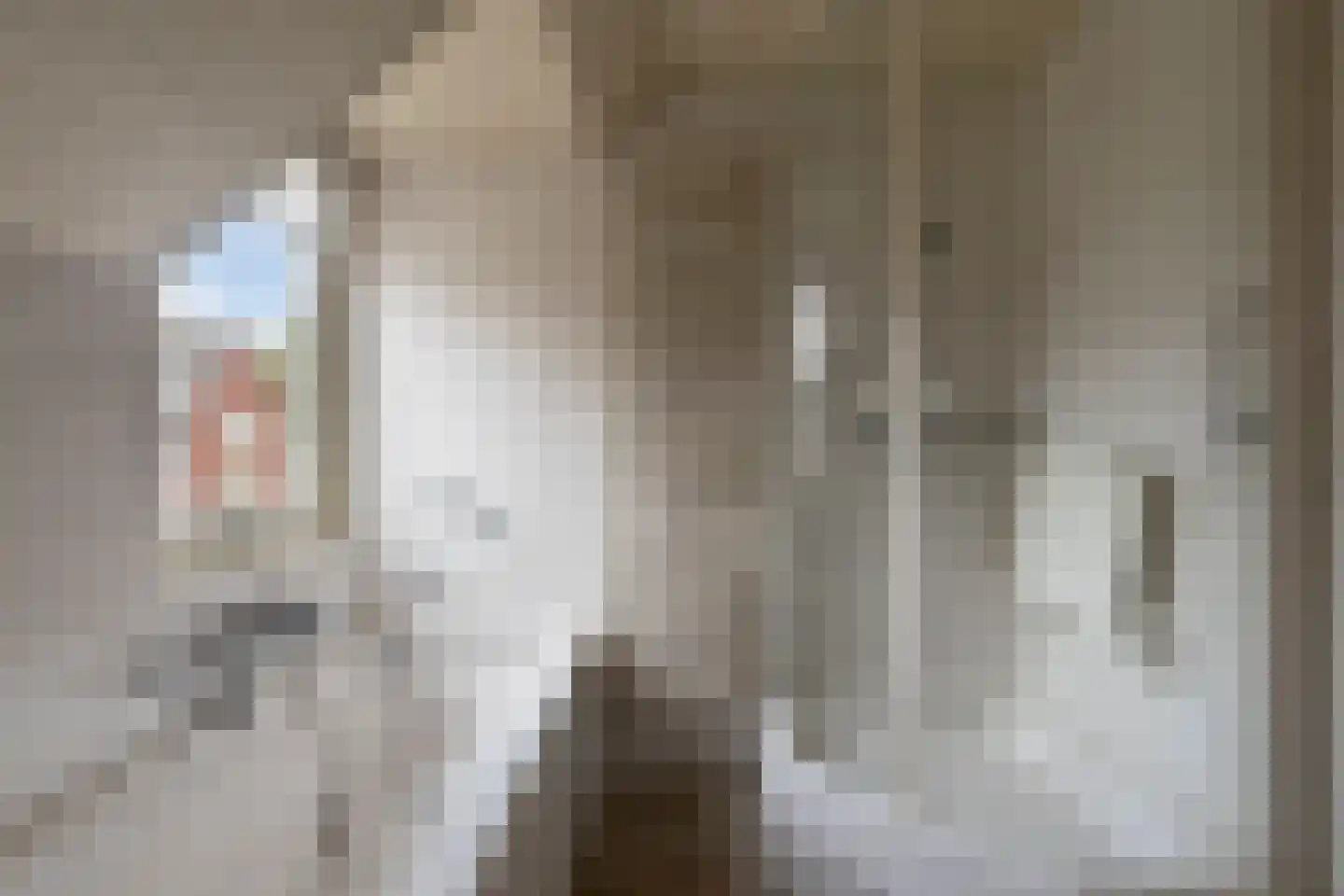Sweelinck 16 Boxmeer thumbnail 4