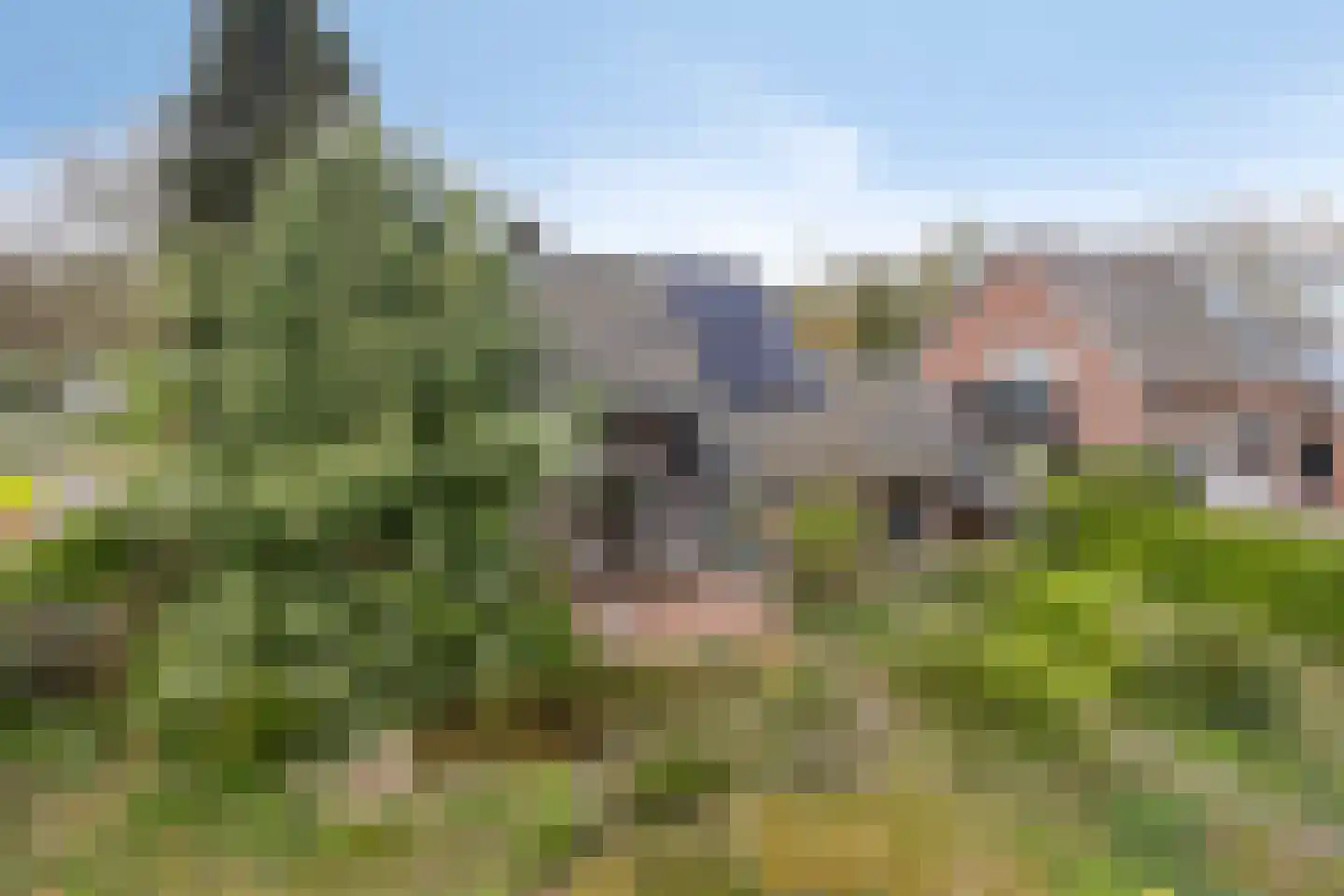 Sweelinck 16 Boxmeer thumbnail 40