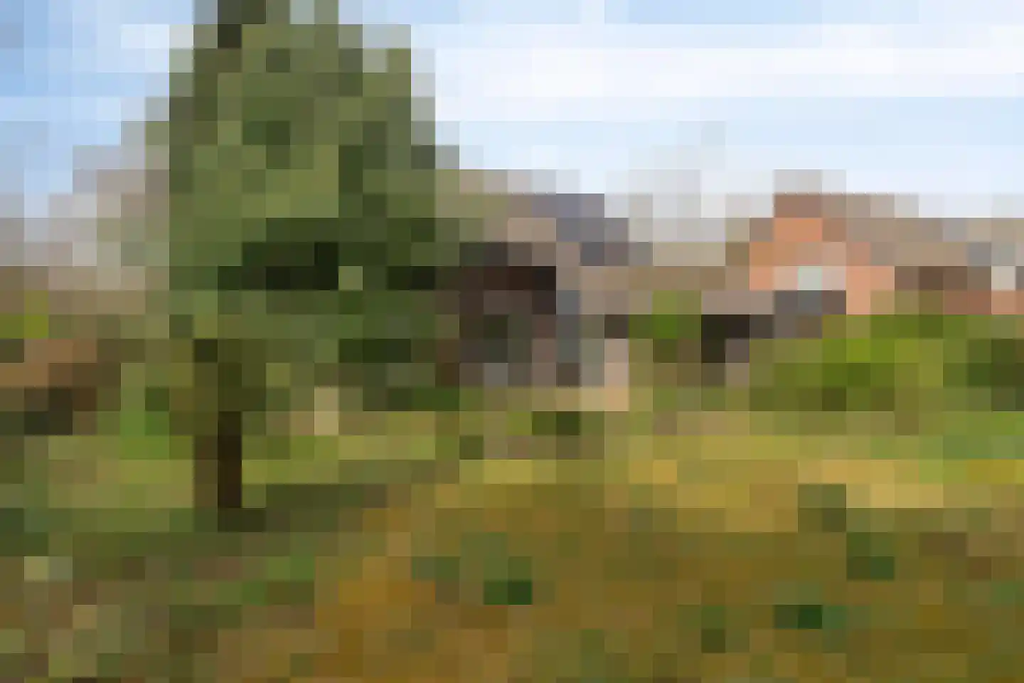 Sweelinck 16 Boxmeer thumbnail 41