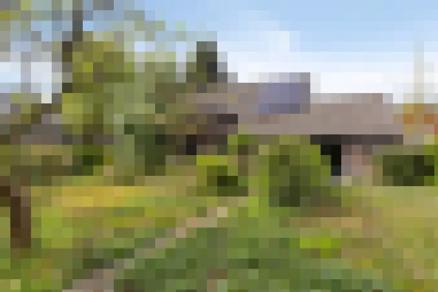 Sweelinck 16 Boxmeer thumbnail 43