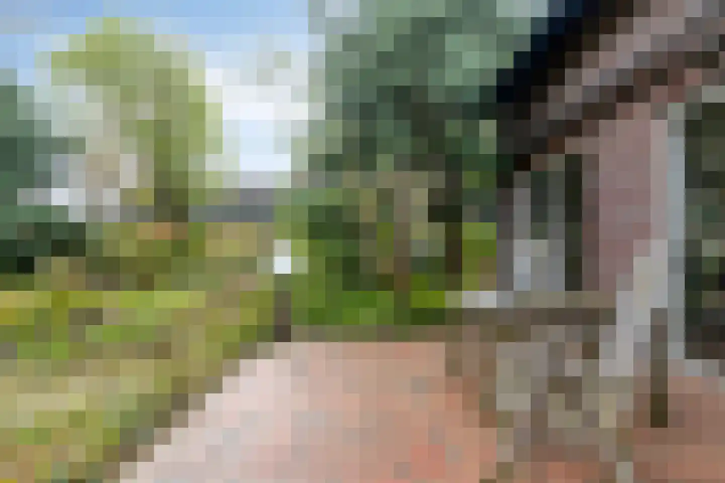 Sweelinck 16 Boxmeer thumbnail 45