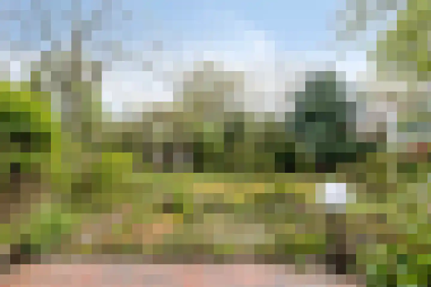 Sweelinck 16 Boxmeer thumbnail 47