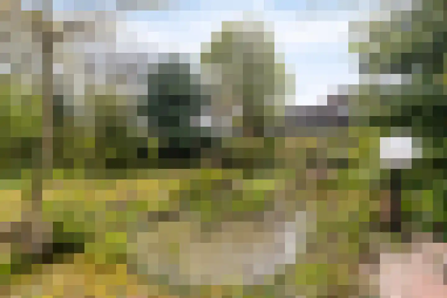 Sweelinck 16 Boxmeer thumbnail 48