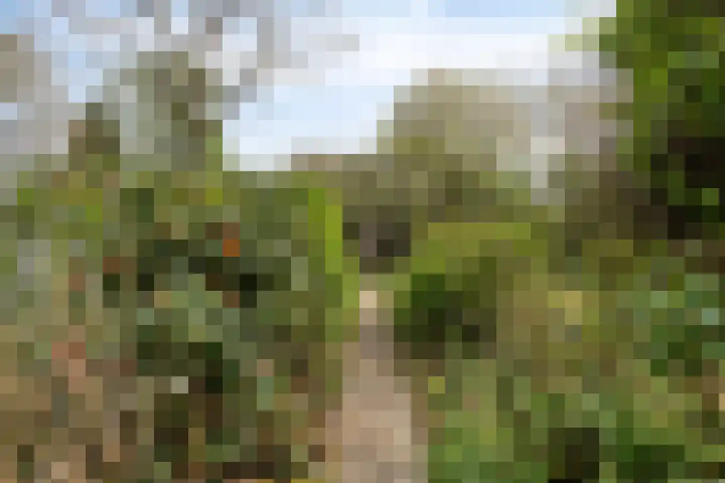 Sweelinck 16 Boxmeer thumbnail 49