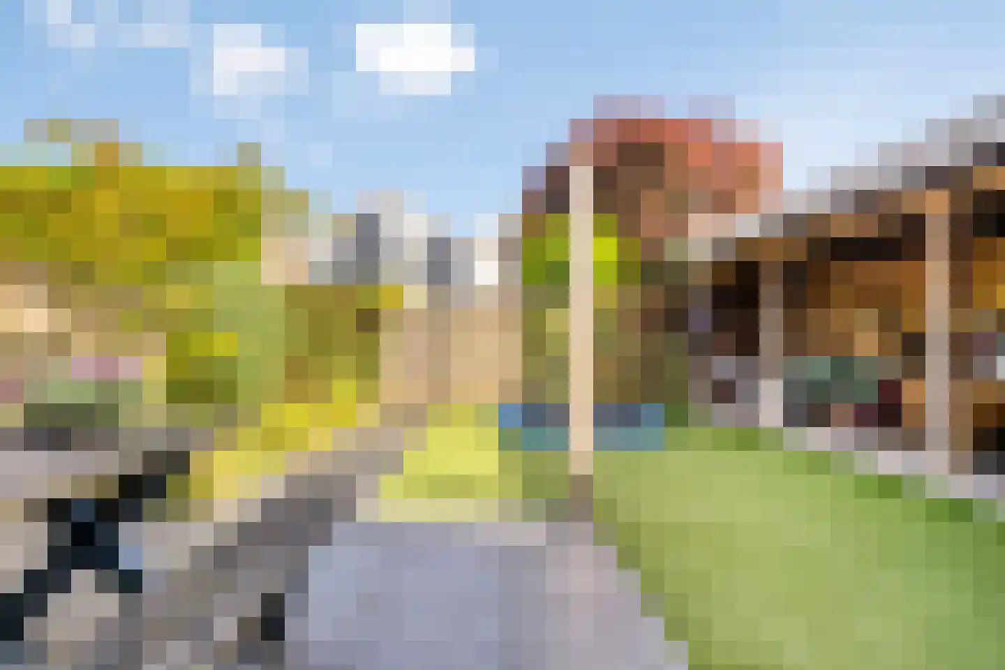 Sweelinck 27 Boxmeer thumbnail 20
