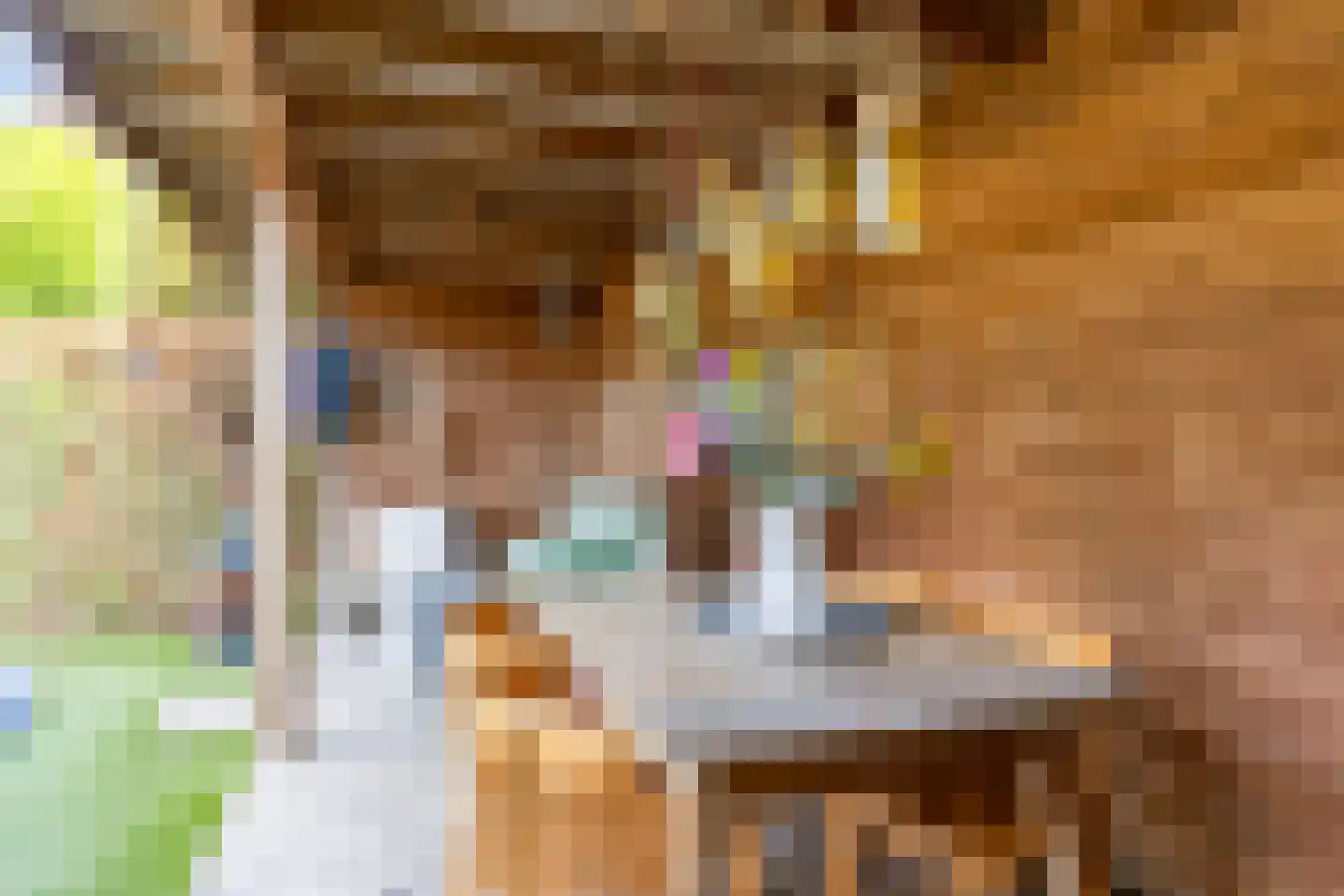 Sweelinck 27 Boxmeer thumbnail 21