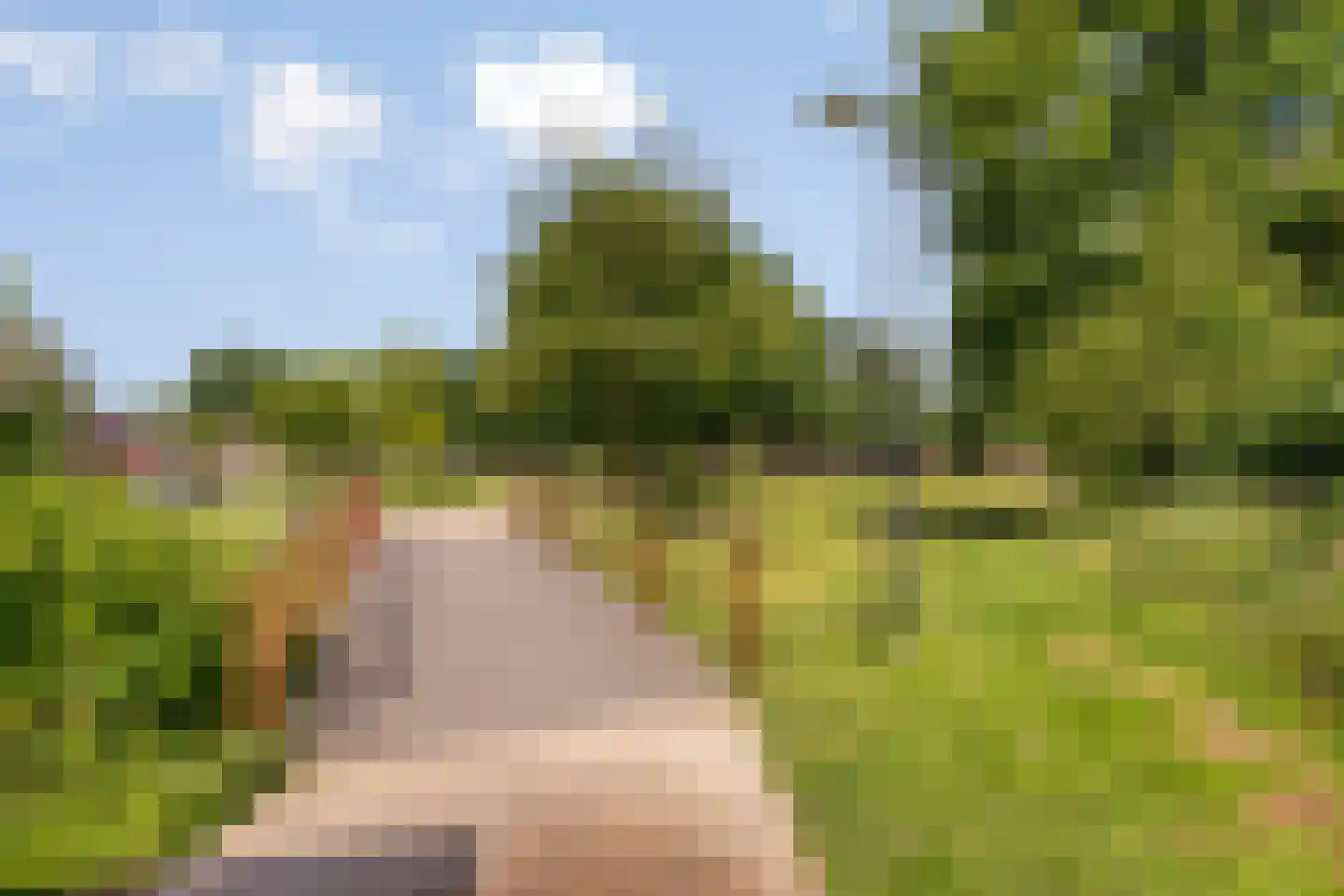 Sweelinck 27 Boxmeer thumbnail 23