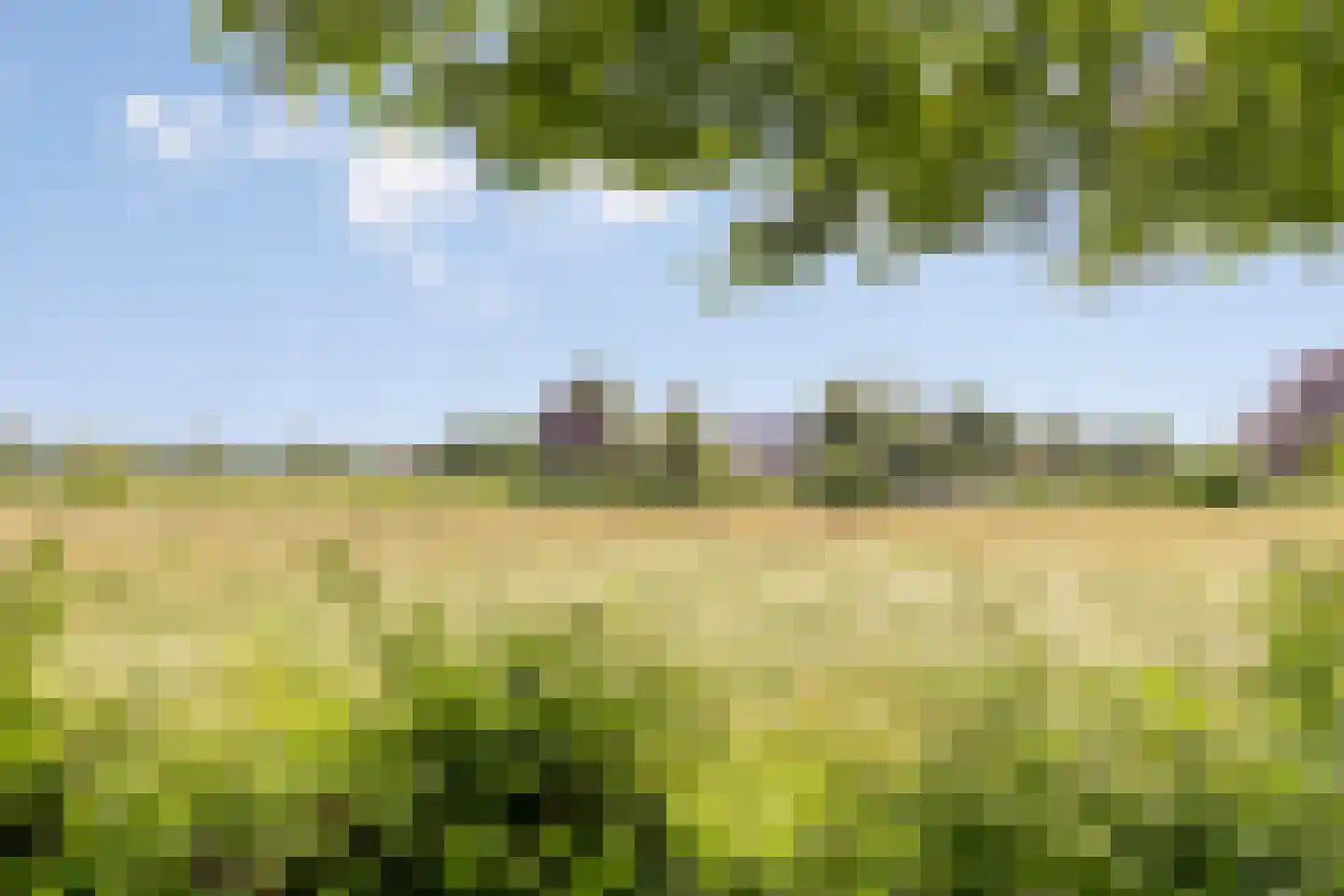 Sweelinck 27 Boxmeer thumbnail 24