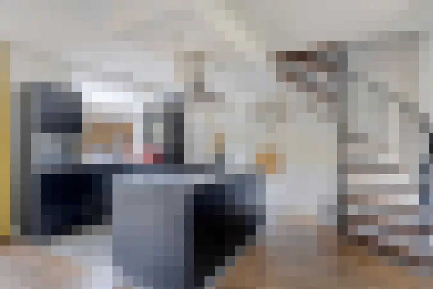 Sweelinck 27 Boxmeer thumbnail 8
