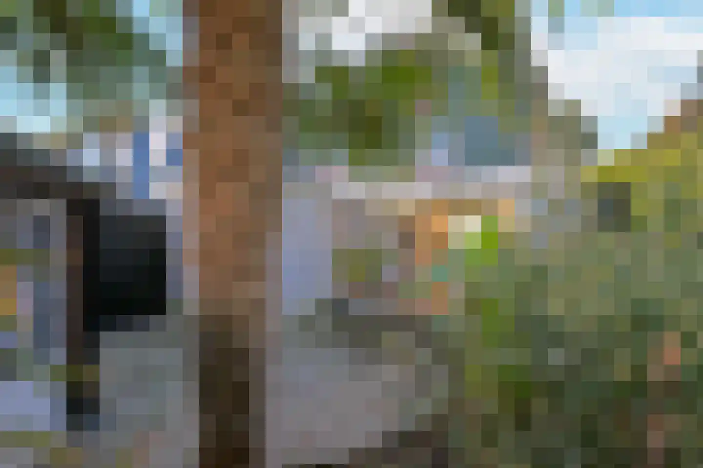 Sweelinck 61 Boxmeer thumbnail 25