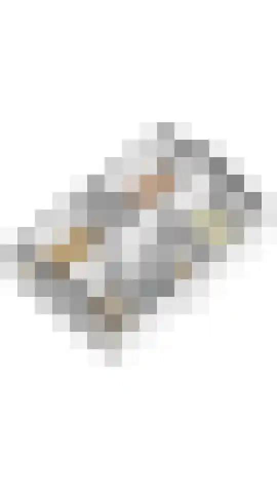 Sweelinck 61 Boxmeer thumbnail 33