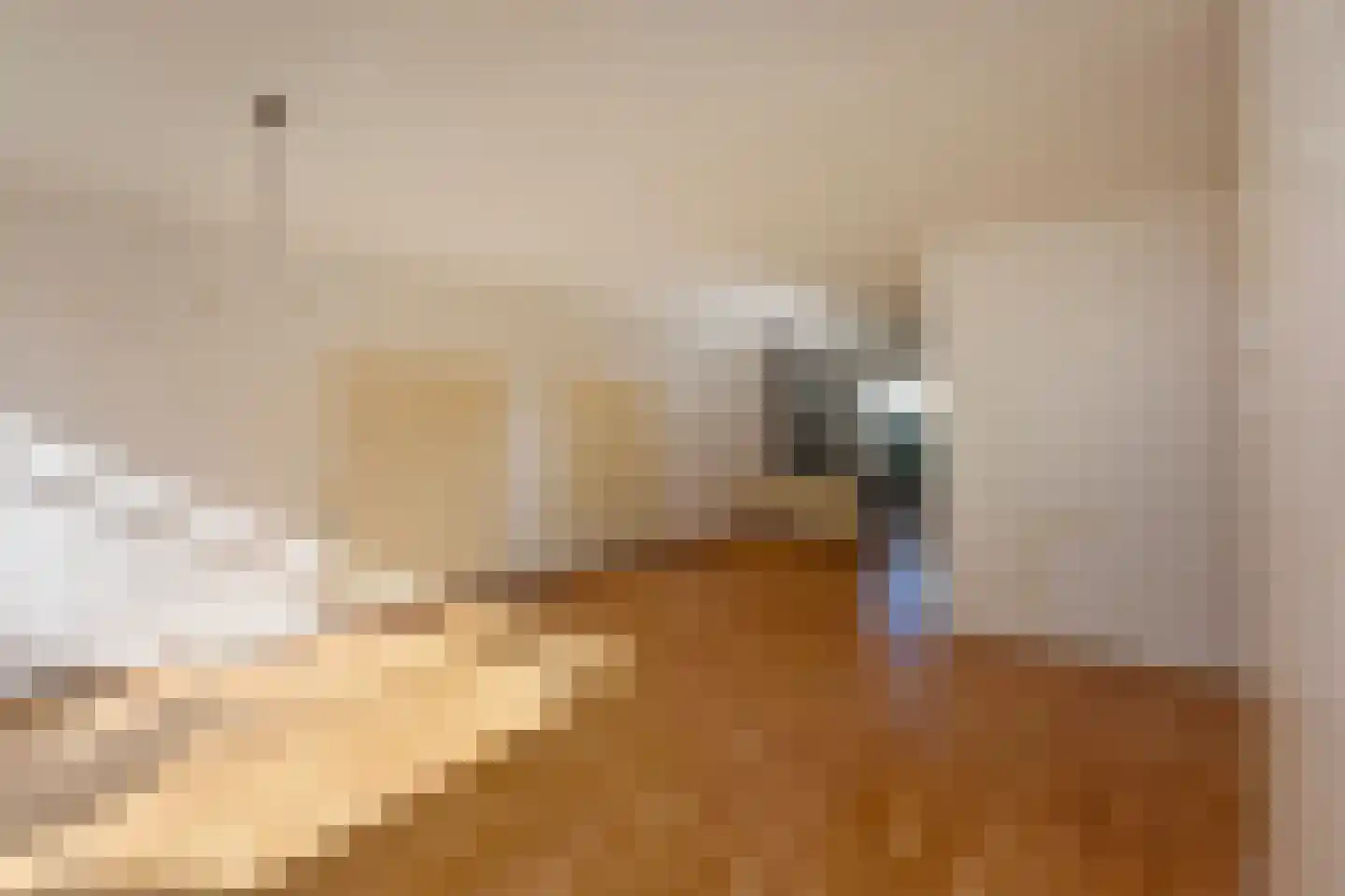 Sweelinck 61 Boxmeer thumbnail 8