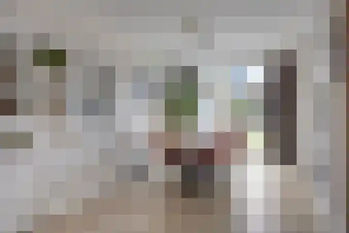 Sweelinck 76 Boxmeer thumbnail 10